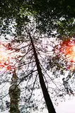 Erdem Tasdelen, Shifting Shades #2/5, 2020, inkjet print on archival paper