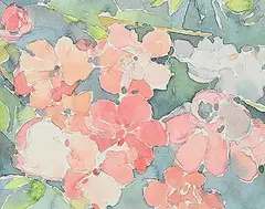 Darrell Bell, Untitled - Begonia, 1990, watercolour on paper