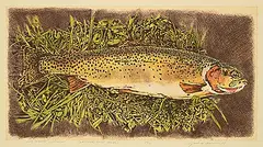 Jack Lee Cowin, High Country Cutthroat [Western Trout Series] #14/15, 1993, hand coloured etching on paper