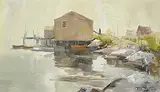 Douglas Ferguson Elliott, Subject in Fog