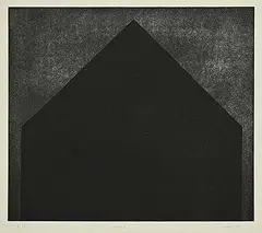 Tim Zuck, House #P/P, 2009, etching on paper