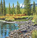 Andrew Kiss, Kananaskis River