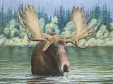 Valerie Rogers, Up North, acrylic on canvas