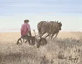 Allen Sapp, Cutting Hay at Sweetgrass Reserve, 1976, acrylic on canvas