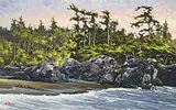 Graeme Shaw, Wild Shore, Tofino, 2018, oil on canvas