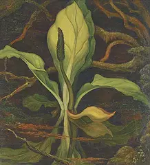 W. P. Weston, Swamp, 1942, oil on canvas