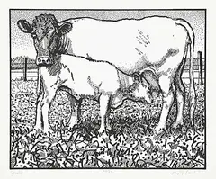 Joseph Fafard, July #XVI/XX, 1989, silkscreen on paper