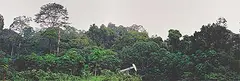 Simon Townsley, Pumpjack Maintenance, Rainforest, Gabon, 2003, colour photograph on paper