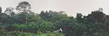 Simon Townsley, Pumpjack Maintenance, Rainforest, Gabon, 2003, colour photograph on paper