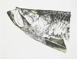 Jack Lee Cowin, Tarpon #1/24, 1990, colour lithograph on paper