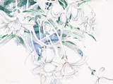 Edward William Godwin, Rocks, Flowers, Scissors, Loose Goose, Tightened, watercolour on paper