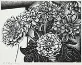 Henry Eric Bergman, Zinnias