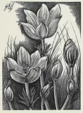 Henry Eric Bergman, Untitled - Crocuses