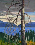 Nicholas J. Bott, Weathered Landscape