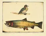 Jack Lee Cowin, Cutthroat and Duck [Western Trout Series] #5/15 [Unique], 1981, hand coloured etching on paper