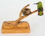 Dick Goerg, Rufous Hummingbird and Nest on Log, 2016, tupelo wood carving