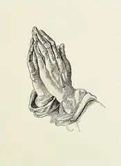 Carl Schaefer, Hands, ink on paper