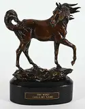 Don Toney, The Wind Calls My Name #1/100, 2003, bronze sculpture