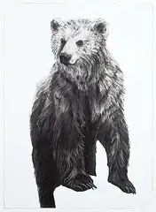 Maureen Enns, Portrait of Biscuit - 5 yrs #3/160, 2002, digital print on paper
