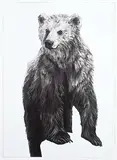 Maureen Enns, Portrait of Biscuit - 5 yrs #3/160, 2002, digital print on paper