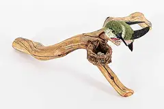 Untitled - Hummingbird with Nest by Dick Goerg, wood carving, sold Dec 2023