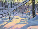 Bruce Allen Heggtveit, Winter Bush and Sunlight, Gatineau Park, oil on wood board