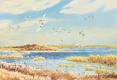 Ernest Luthi, Wildlife Area, East of Lakecity School on N. West End of Long Lake, watercolour on paper