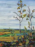 Sophia Podryhula-Shaw, Untitled - Late Day in August, oil on canvas
