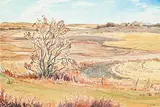Margaret Shelton, Near Rockyford
