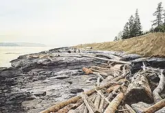 Simon H. Camping, Ruckle Park, Salt Spring Island, watercolour on paper