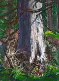 Arthur Lismer, Big Spruce, B.C., 1960, oil on wood board