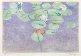 Walter J. Phillips, Water Lilies #57, 1927, colour wood block on paper
