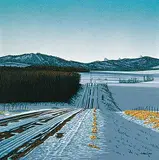 William H. Webb, Opus 6 Mountains, 2009, acrylic on canvas