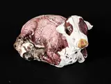 Joseph Fafard, Untitled - Tiny Calf with Brown Eyes, 1972, painted ceramic sculpture