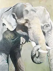 Kindrie Grove, Untitled - Elephants, 1995, acrylic on canvas