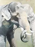 Kindrie Grove, Untitled - Elephants, 1995, acrylic on canvas