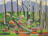 Mary Spice Kerr, Storm Mt. - Burned Trees and New Growth, 1977, oil on canvas board