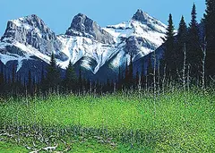 Harry Savage, Untitled - Light at the Top, acrylic on wood board