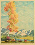 Margaret Shelton, Yellow Poplar, Banff #136/200