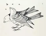Kananginak Pootoogook, Feeding on Flies #44/50
