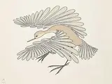 Aoudla Pudlat, Small Tundra Bird #15/50, 1981, colour lithograph on paper