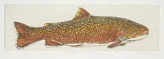 Jack Lee Cowin, Brook Trout #7/15, 1997, hand coloured etching on paper