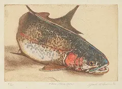 Jack Lee Cowin, Fall / Rainbow #21/25, 1996, hand coloured etching on paper