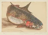 Jack Lee Cowin, Fall / Rainbow #21/25, 1996, hand coloured etching on paper