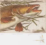 Jack Lee Cowin, March Brown #2/25, 1996, hand coloured etching on paper