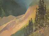 Meredith Evans, Sun on Poplar - Lower Kananaskis, 1981, oil on canvas