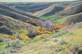 Dean R. Francis, Nature's Arrangement, acrylic on canvas