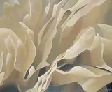 Laurie Koss, Peony I, acrylic on canvas