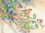 Wee Lee, Oh! Saskatoon Berries [Cedar Waxwings], acrylic on silk