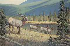 Matt Lindstrom, Untitled - Elk by the Lake, oil on canvas